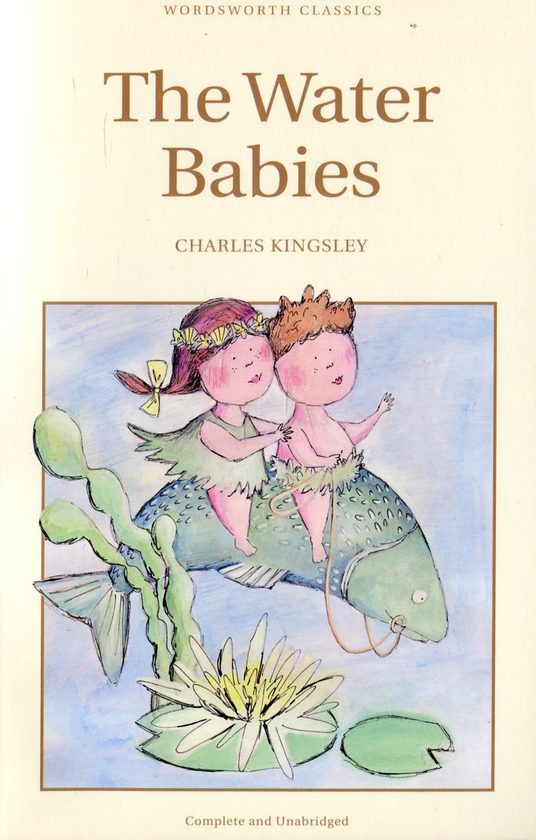 Бумажная книга «The Water Babies», автор Чарльз Кингсли - фото №1