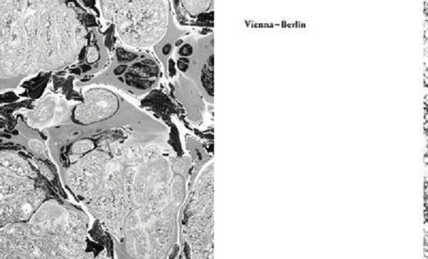 Бумажная книга «Vienna-Berlin» - фото №1