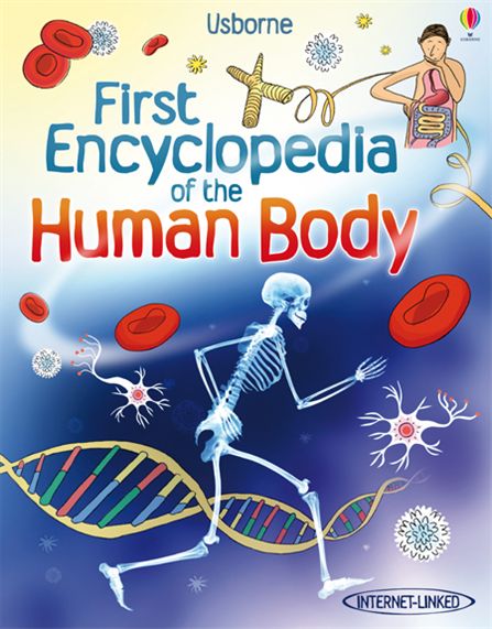 Паперова книга «First Encyclopedia of the Human Body», автор Фіона Чендлер - фото №1