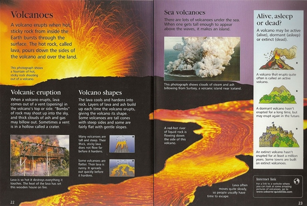 Паперова книга «Children's Encyclopedia», автор Фелісіті Брукс - фото №1