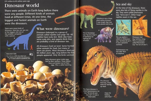 Паперова книга «Children's Encyclopedia», автор Фелісіті Брукс - фото №1