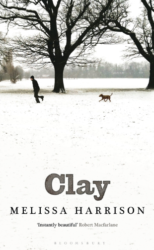 Бумажная книга «Clay», автор Мелисса Харрисон - фото №1