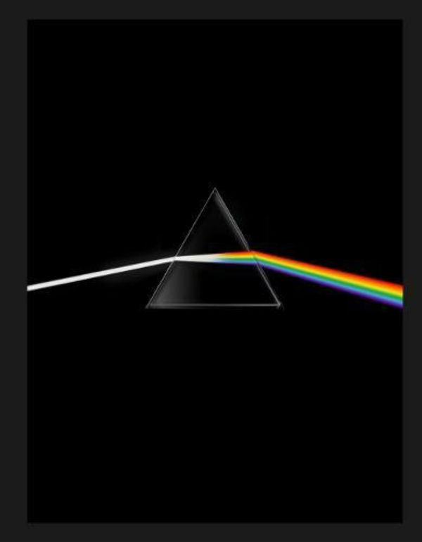 Бумажная книга «Pink Floyd: Their Mortal Remains» - фото №1