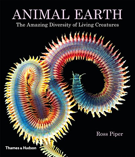 Паперова книга «Animal Earth: The Amazing Diversity of Living Forms», автор Росс Пайпер - фото №1