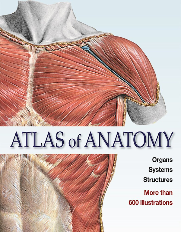 Бумажная книга «Atlas of Anatomy» - фото №1