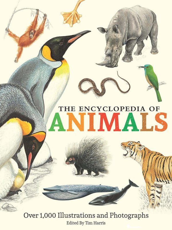 Бумажная книга «Encyclopedia of Animals. More than 1,000 Illustrations and Photographs» - фото №1