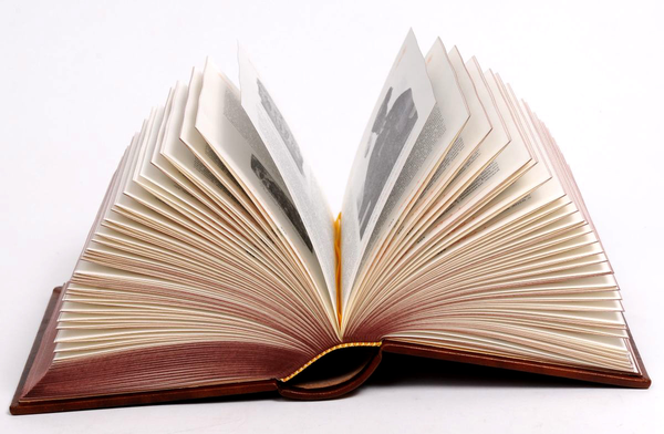 Паперова книга «Ілюстрована історія України», автор Михайло Грушевський - фото №1