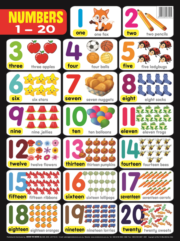 Паперова книга «Educational Chart Mini. Numbers 1-20» - фото №1