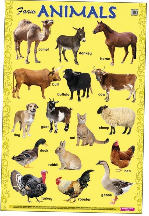 [object Object] «Education Charts. Farm Animals» - фото №1