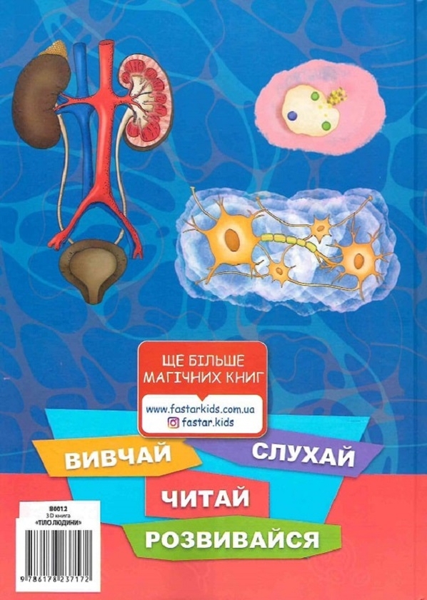 [object Object] «3D книга Тіло людини» - фото №3 - миниатюра