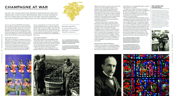 Бумажная книга «The Treasures of Champagne», автор Том Брюс-Гардин - фото №1