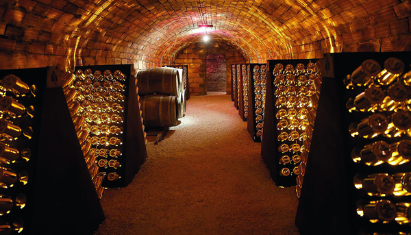 Бумажная книга «The Treasures of Champagne», автор Том Брюс-Гардин - фото №1