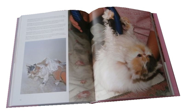 Бумажная книга «Luxury for Cats», автор Патриция Фарами - фото №1