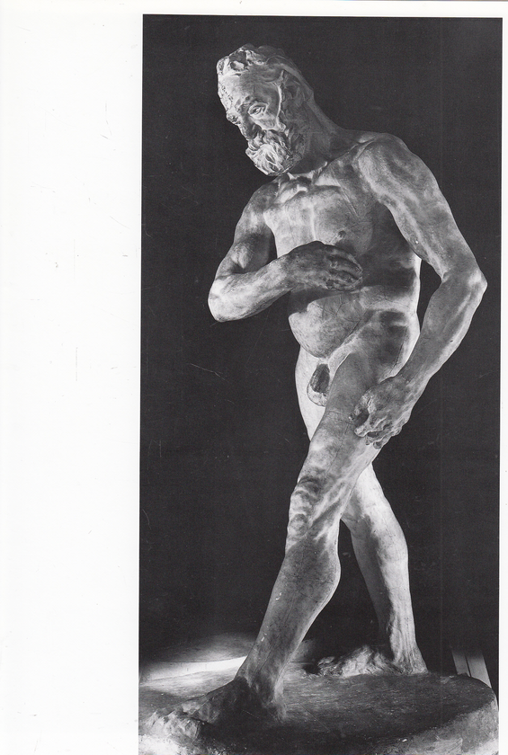 Паперова книга «Rodin», автор Людвіг Голдшайдер - фото №1