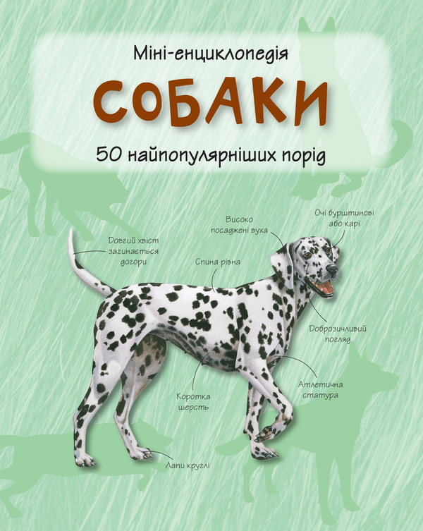 Паперова книга «Собаки. Міні-енциклопедія» - фото №1