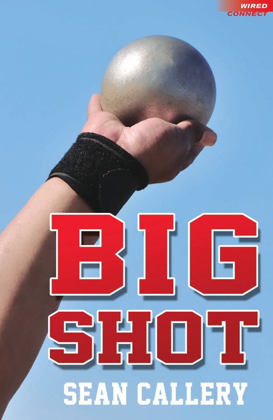 Паперова книга «Big Shot», автор Шон Келлері - фото №1