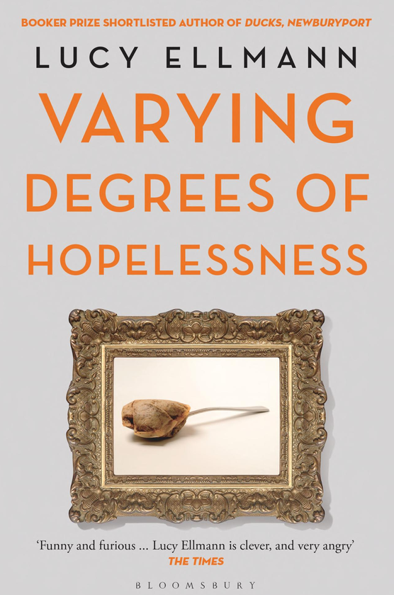 Паперова книга «Varying Degrees of Hopelessness», автор Люсі Еллманн - фото №1