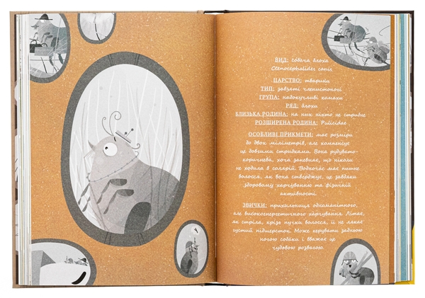 Бумажная книга «Великі комахи. Історія тих, хто відростив крила», автор Барбара Супель - фото №1