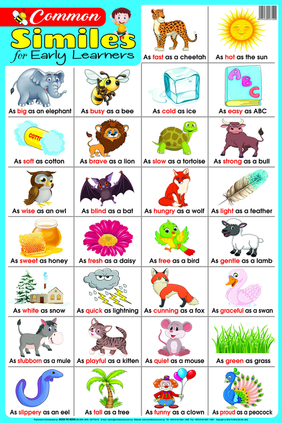 [object Object] «Education Charts. Common Similes» - фото №1