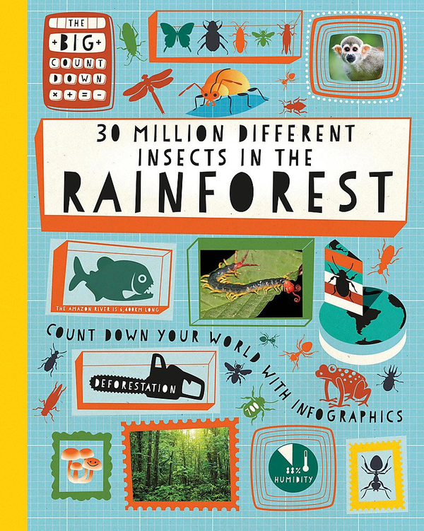 Паперова книга «The Big Countdown. 30 Million Different Insects in the Rainforest», автор Пол Рокетт - фото №1