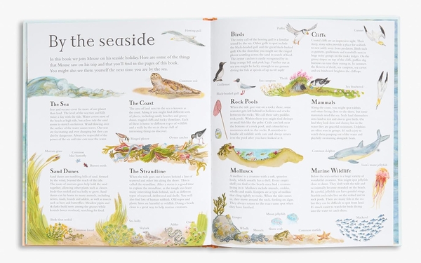Бумажная книга «Mouse by the Sea: A Holiday in Nature», автор Элис Мелвин - фото №1