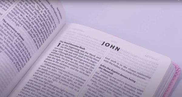 Бумажная книга «NIV Pocket Pastel Pink Soft-tone Bible», автор New International Version - фото №1