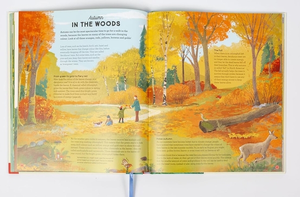 Бумажная книга «A Story of the Seasons», автор Анна Уилсон - фото №1