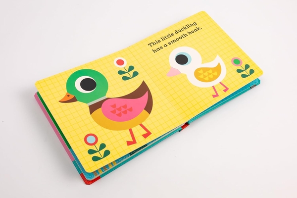 Бумажная книга «This Little Duckling: A Touch and Feel Book» - фото №1