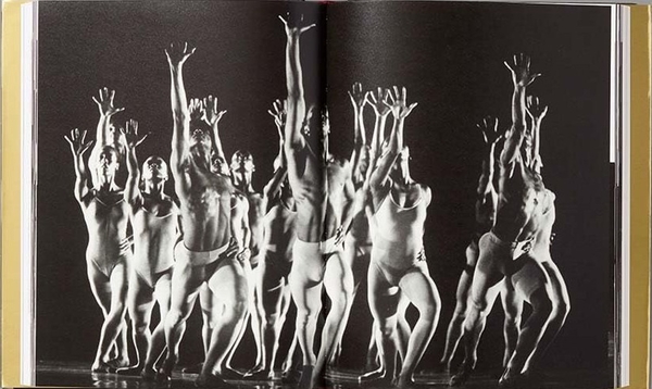 Бумажная книга «Edges of Ailey», автор Адриенн Эдвардс - фото №1