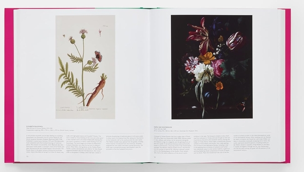 Бумажная книга «Butterfly: Exploring the World of Lepidoptera», автор Редакторы "Phaidon" - фото №1