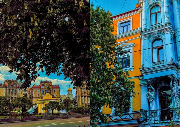 «Набір листівок "Квітучий Київ" (P-T6O)», бренда CakeTravel - фото №1
