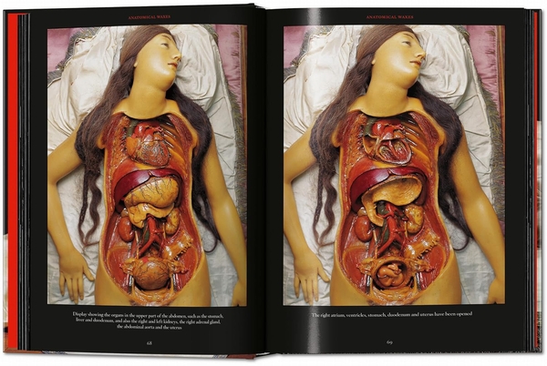 Бумажная книга «Anatomical Waxes», автор Марта Поггеси - фото №1