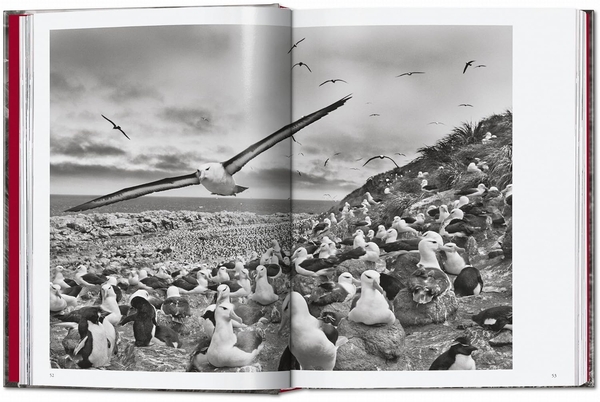 Бумажная книга «Sebastião Salgado. Genesis. 45th Ed.» - фото №1