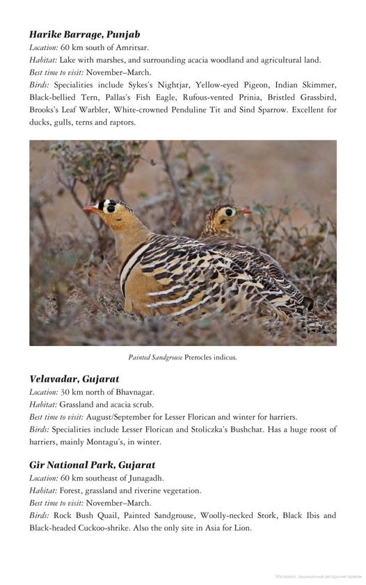 Паперова книга «Birds of Northern India», авторів Річард Ґріммет, Тім Інскіпп - фото №1
