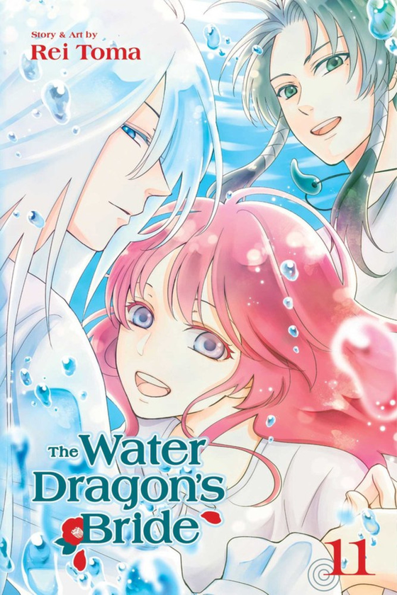Паперова книга «The Water Dragon's Bride. Volume 11», автор Рей Тома - фото №1