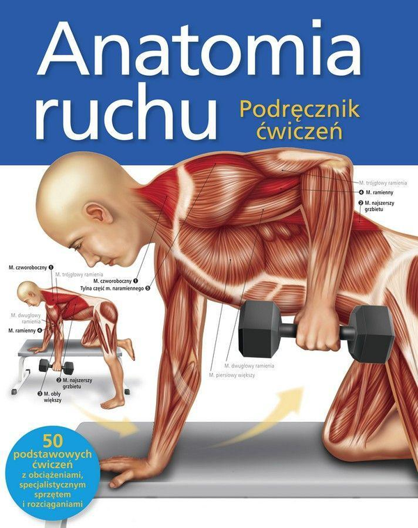 Паперова книга «Anatomia ruchu. Podręcznik ćwiczeń », автор Кен Ешвелл - фото №1