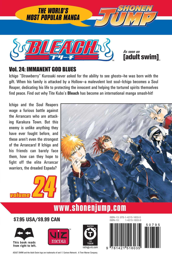 Паперова книга «Bleach. Volume 24», автор Тайто Кубо - фото №1