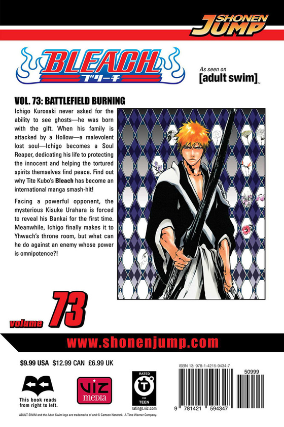 Паперова книга «Bleach. Volume 73», автор Тайто Кубо - фото №1