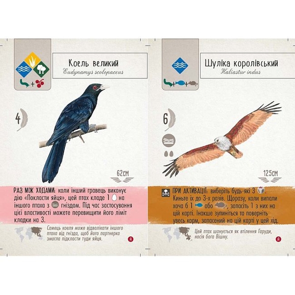  «Настільна гра Ігромаг Крила: Птахи Азії (Wingspan Asia) (850032180078)», бренда Игромаг - фото №1