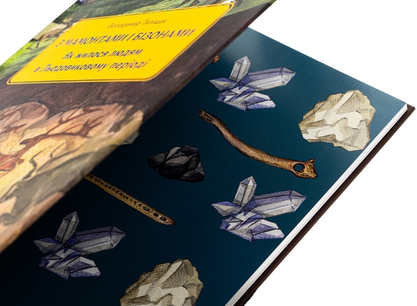Бумажная книга «3 мамонтами і бізонами. Як жилося людям у льодовиковому періоді», автор Владимир Тылищак - фото №1