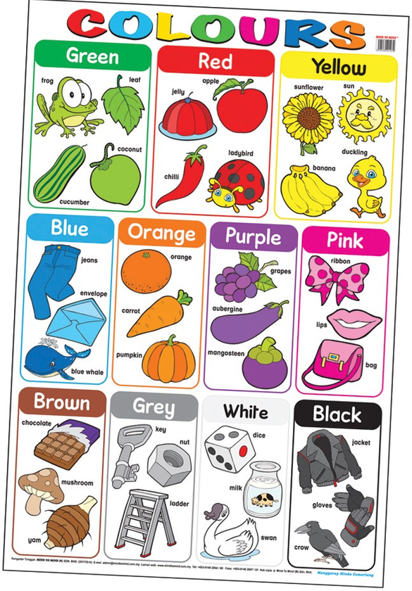 [object Object] «Education Charts. Colours» - фото №1