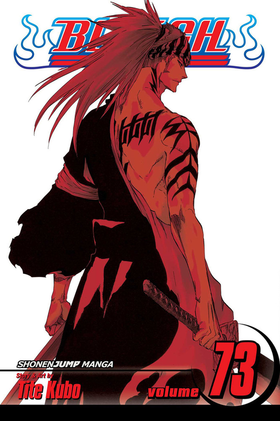 Паперова книга «Bleach. Volume 73», автор Тайто Кубо - фото №1