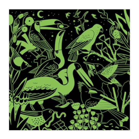  «Birds Illuminated 500 Piece Glow in the Dark Puzzle», бренда Mudpuppy - фото №1