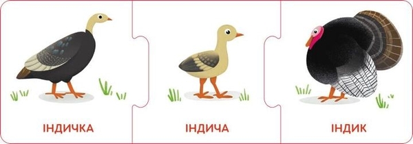  «Настільна гра Кенгуру Логічні ланцюжки. Малюки тварини та їхні родини (КН1782001У)», бренда Кенгуру - фото №1