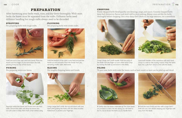 Бумажная книга «The Herb Garden for Cooks», автор Джефф Кокс - фото №1