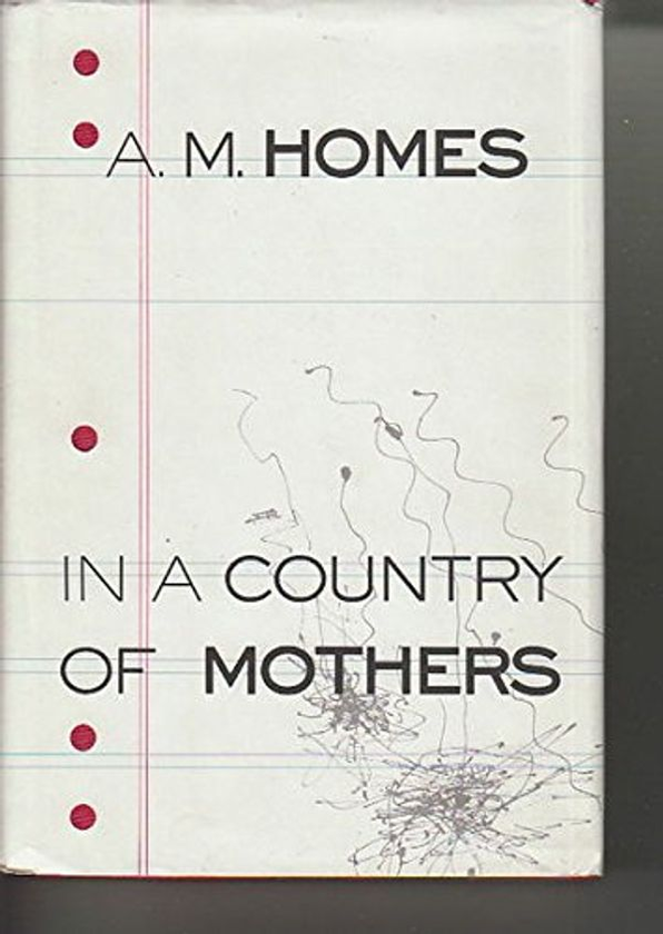 Бумажная книга «In A Country Of Mothers», автор Эми М. Хоумс - фото №1