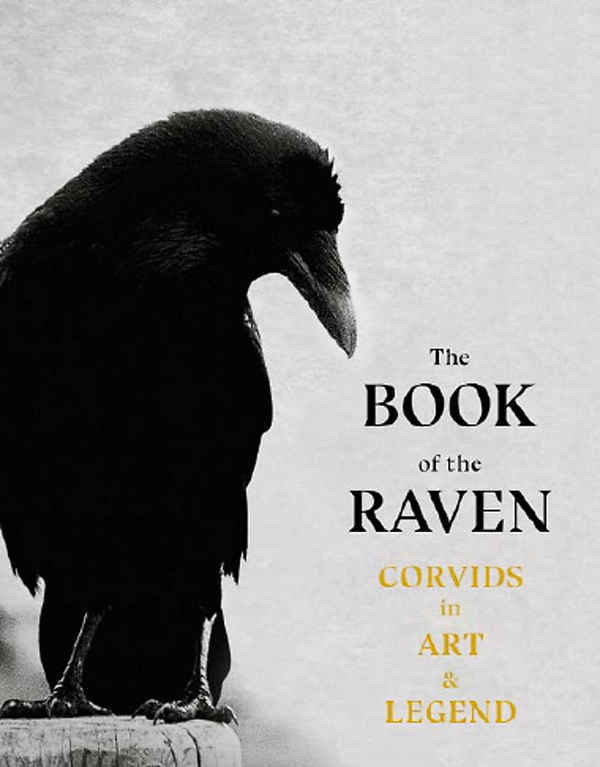 Бумажная книга «The Book of the Raven. Corvids in Art and Legend», авторов Ангус Хайленд, Кэролайн Робертс - фото №1
