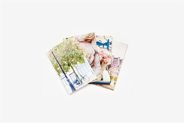 Бумажная книга «Paris in Bloom Notecards», автор Джорджанна Лейн - фото №1