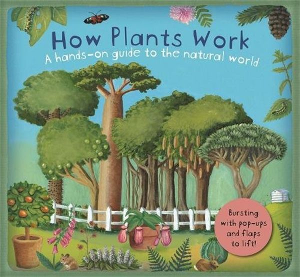 Бумажная книга «How Plants Work» - фото №1