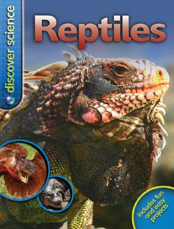 [object Object] «Reptiles», автор Белінда Вебер - фото №1